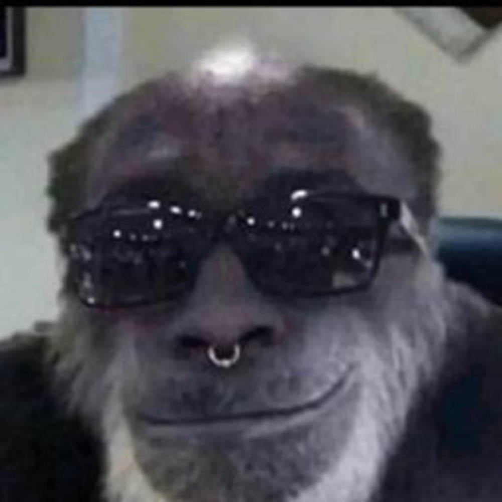 Meet your Posher, Gabriel